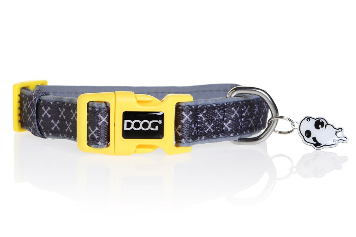 DOOG Odie Dog Collar – Adjustable Neoprene Collar for Extra Small Dogs, XS