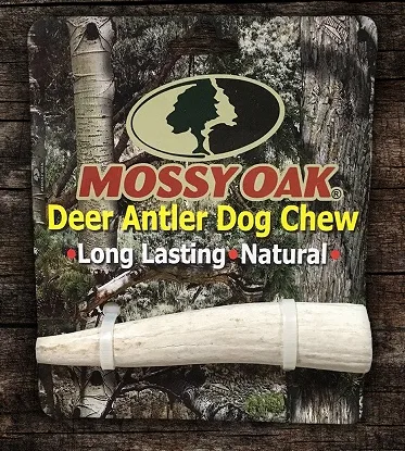Mossy Oak All Natural Deer Antler Dog Chew, Small — image 1