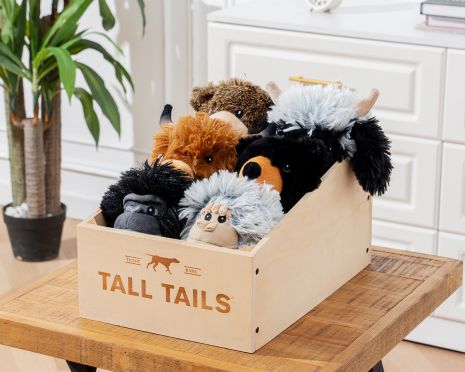 Tall Tails 2-in-1 Fetch Ball Dog Toy – 4 Inch Plush Interactive Squeaky Toy with Hidden Bonus Ball