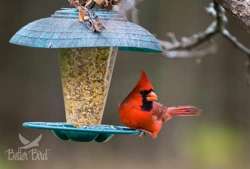 Better Bird Better Blends Nut and Fruit Bird Food – 4 lb