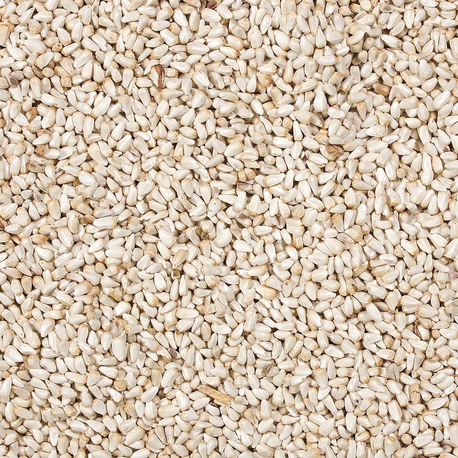 Wild Delight Safflower Seed – 8 lb