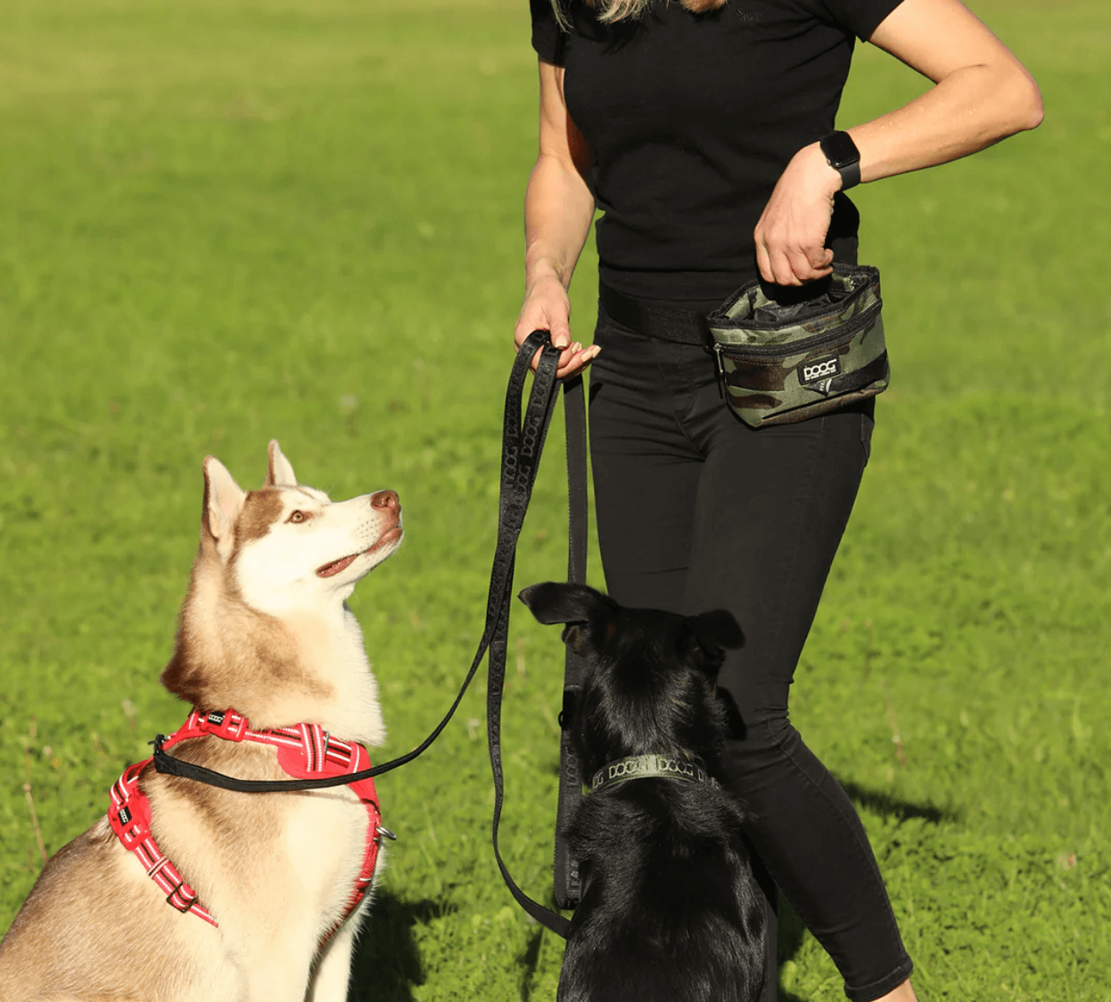 DOOG0206 - DOOG Treat & Training Pouch with Hinge Closure - Stella, navy with white spots — image 3