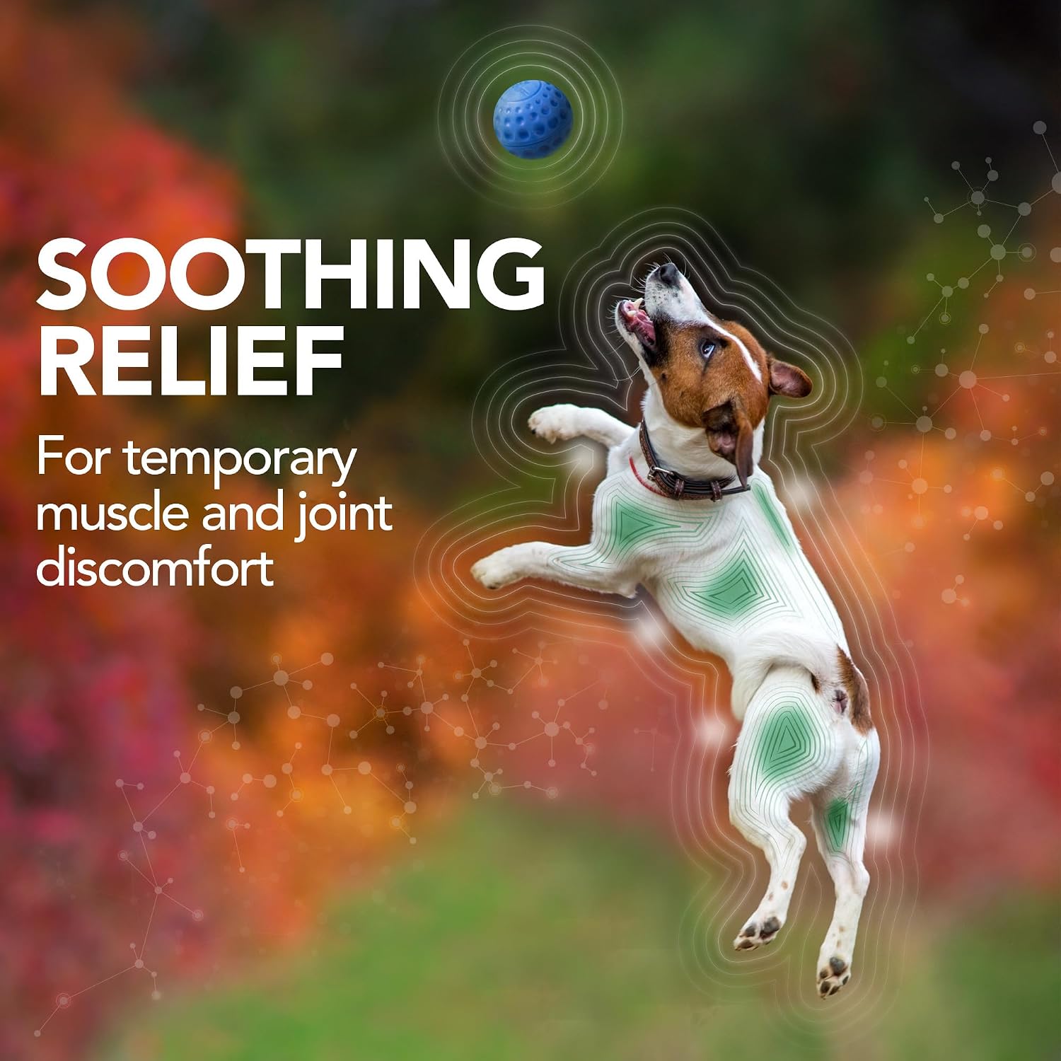 Vet's Best Hip & Joint Supplement for Dogs, Glucosamine, 50 Chew Tablets