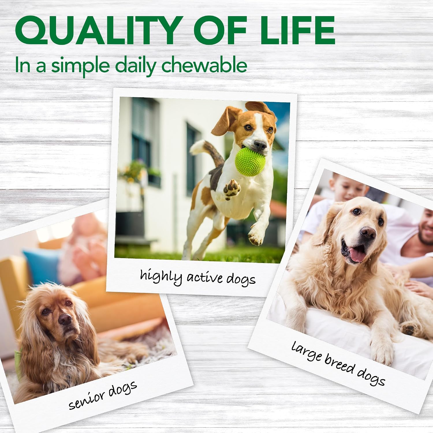 Vet's Best Hip & Joint Supplement for Dogs, Glucosamine, 50 Chew Tablets