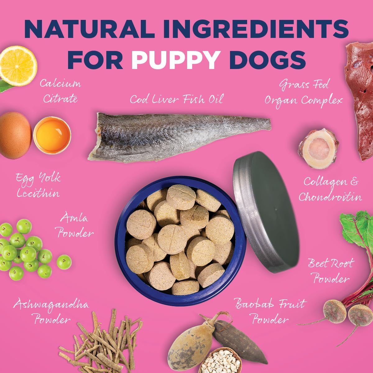 Vetericyn ALL-IN 1 Puppy Supplement – 90 Tablets
