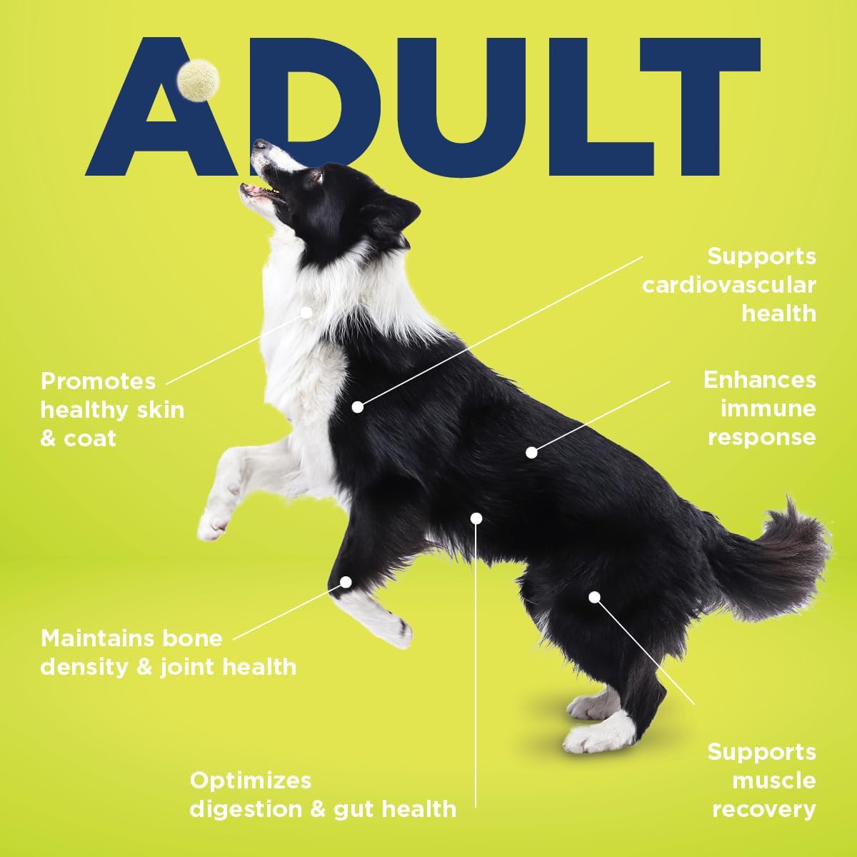 Vetericyn ALL-IN Adult Dog Supplement – 90 Tablets