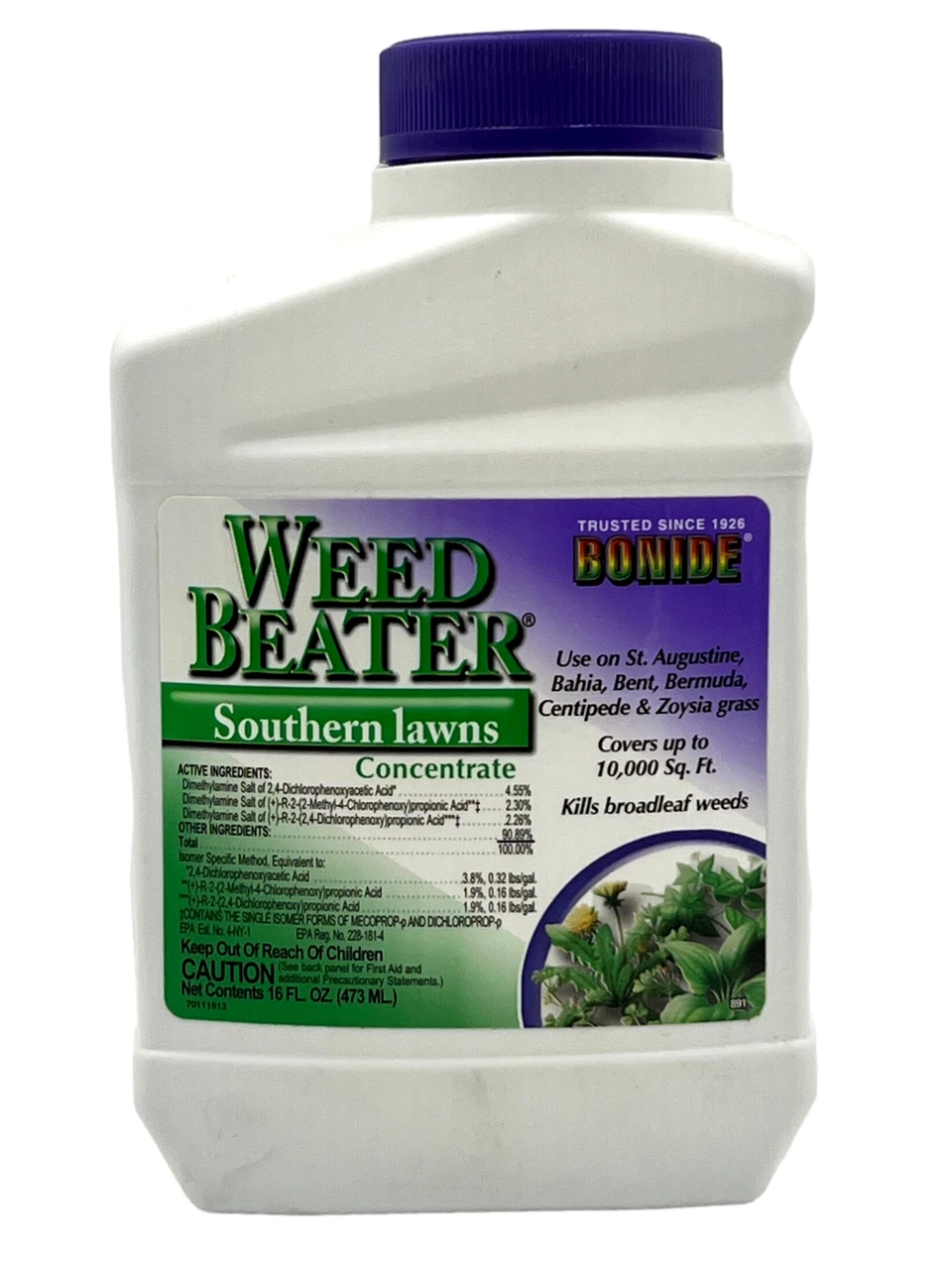 Bonide Weed Beater for Southern Lawns Concentrate – Broadleaf Weed Killer, 16 oz Pint