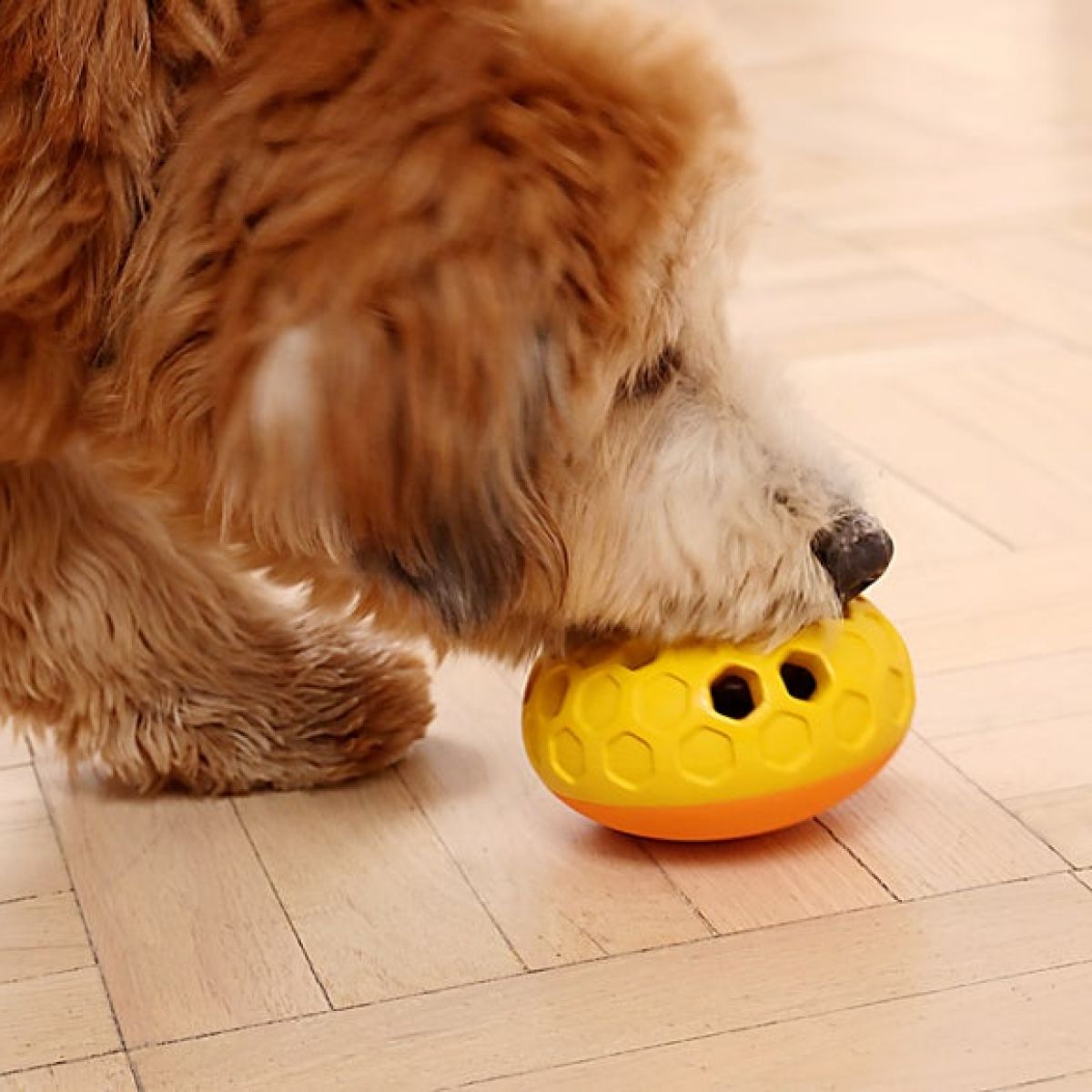 Tall Tails Natural Rubber Bee Hive Reward Dog Toy – 5 Inch