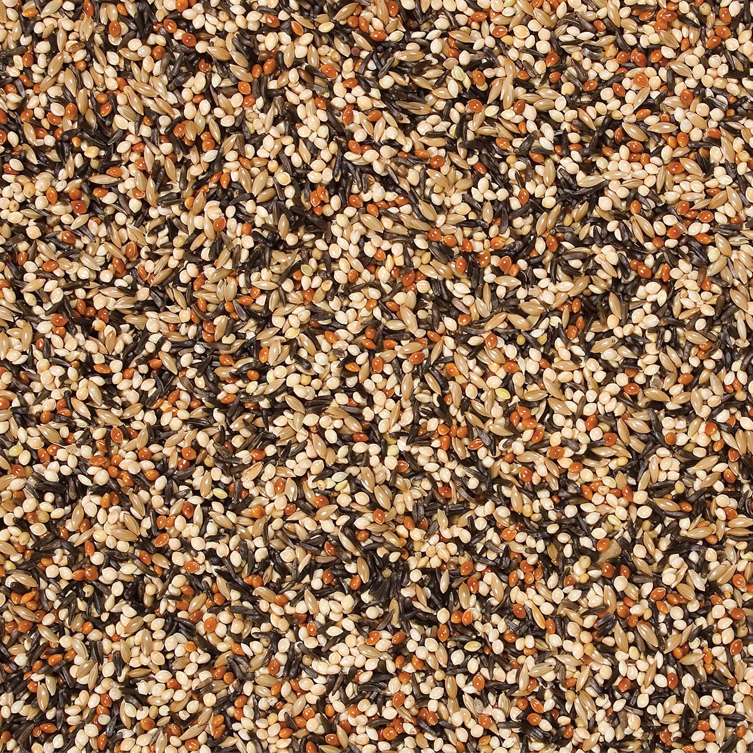 Wild Delight Outdoor Finch Wild Bird Food – Nyjer, Millet & Canary Grass Seed Blend, 5 lb
