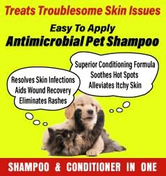 Medicated Shampoo with Marine Collagen 16 oz – Veterinary Skin Care Shampoo for Dogs & Cats