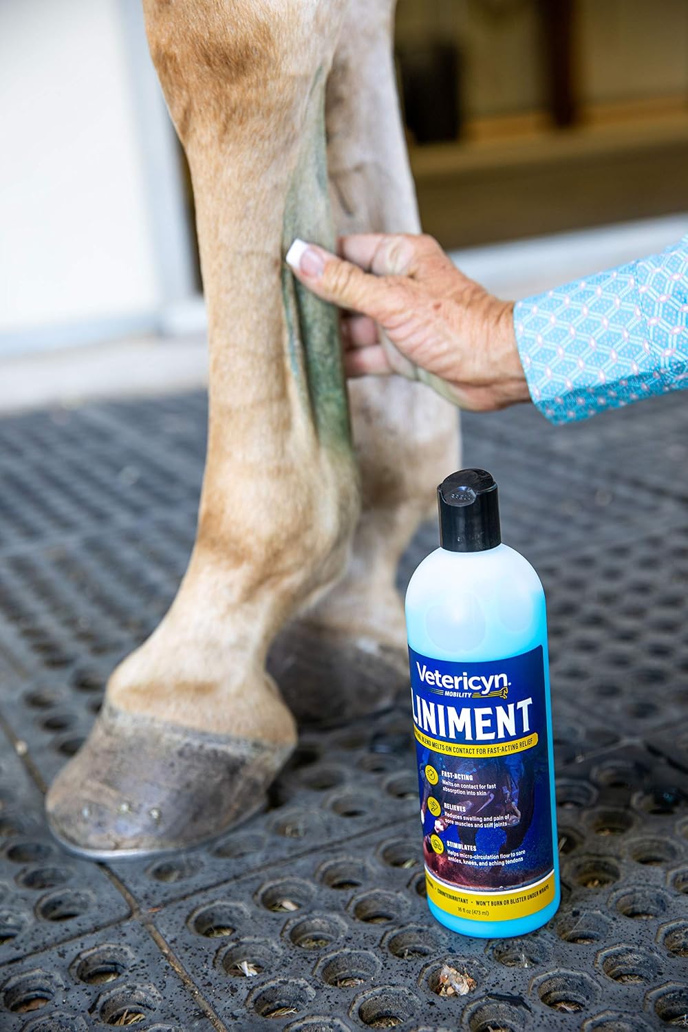 Vetericyn Mobility Equine Liniment for Horses – Menthol Muscle & Joint Relief, 16 oz
