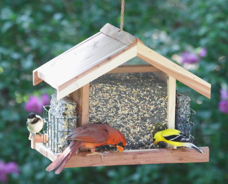 Perky-Pet® Deluxe Chalet Cedar Bird Feeder – 5 lb Seed Capacity