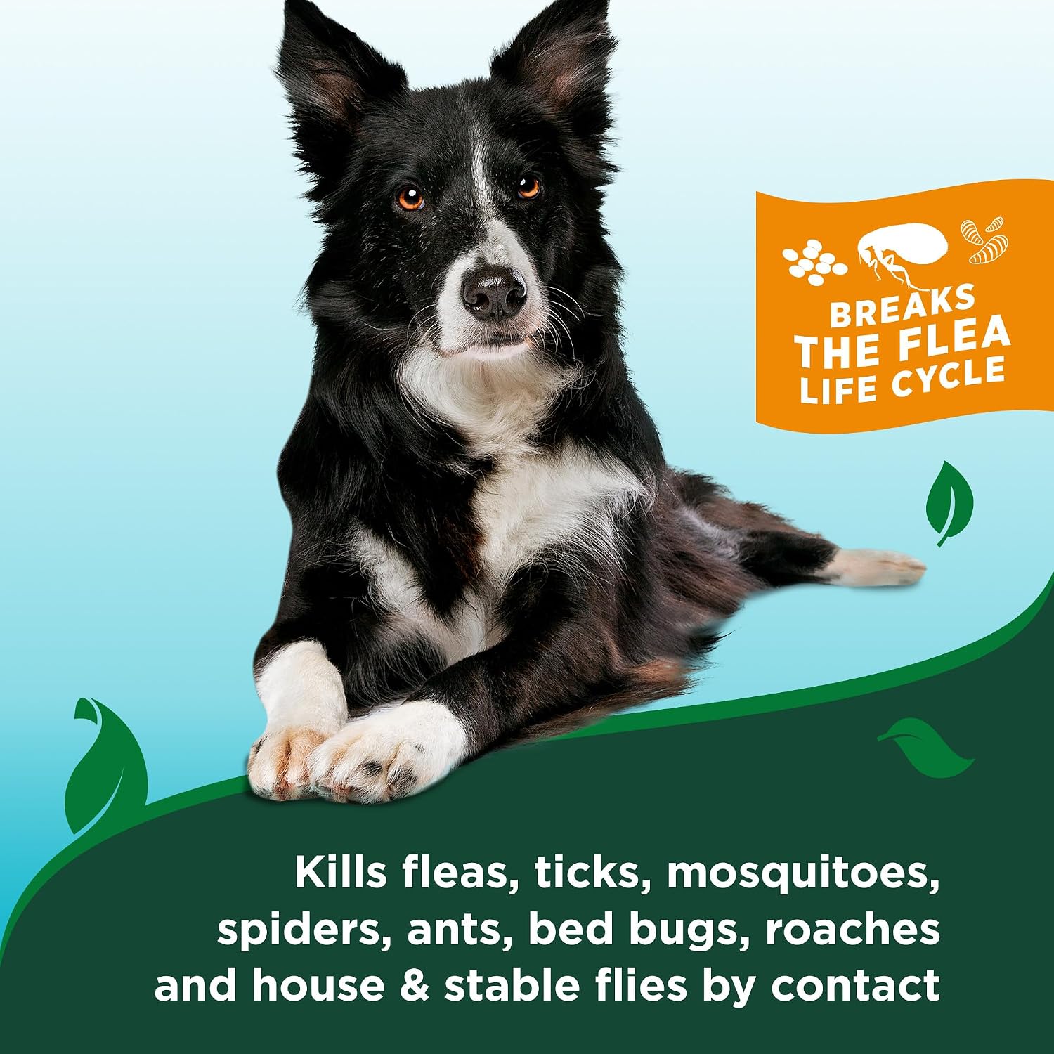 Vet's Best Waterless Flea & Tick Bath for Dogs, Essential Oil Spray, 8 oz