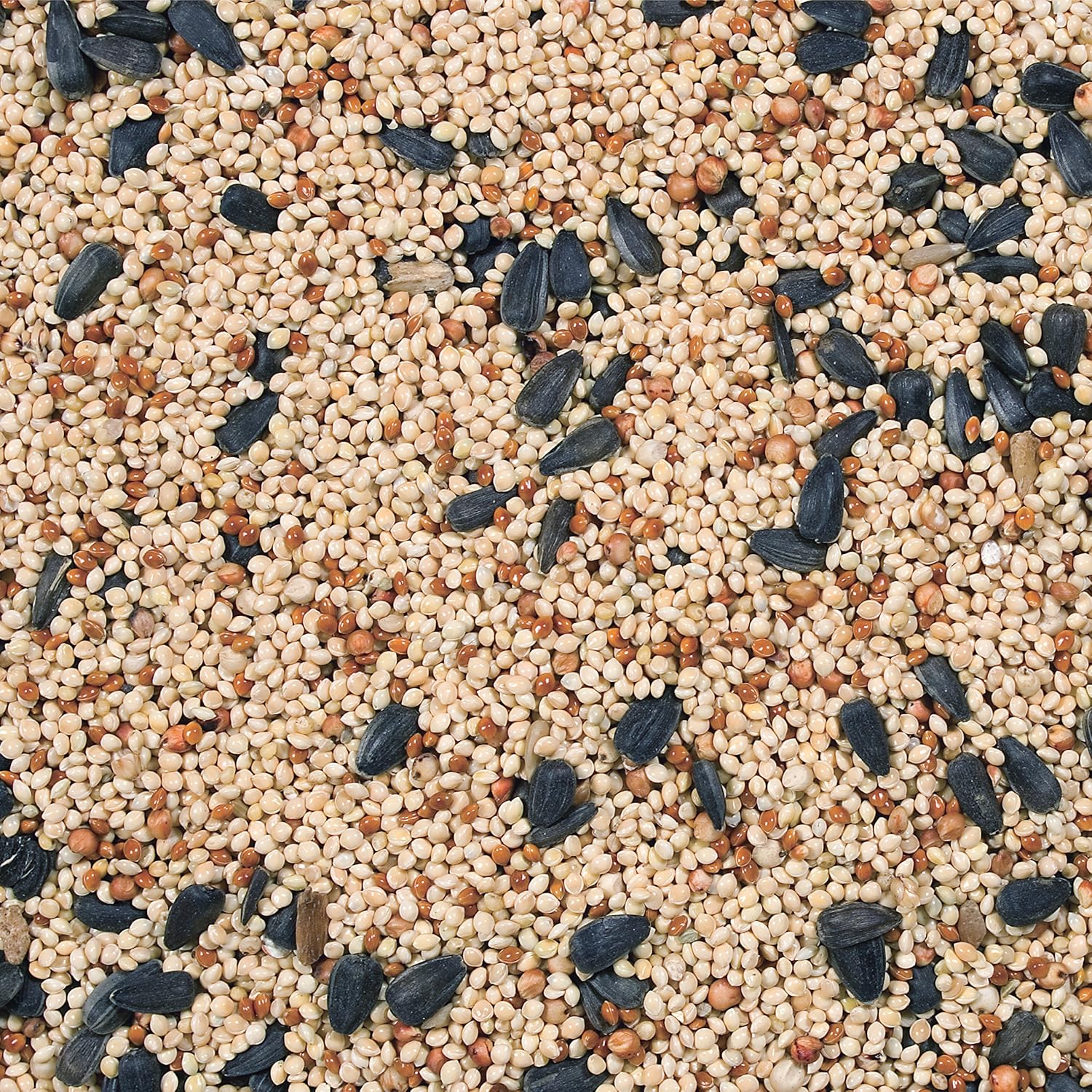 Wild Delight Buffet for Wild Birds – 10 lb