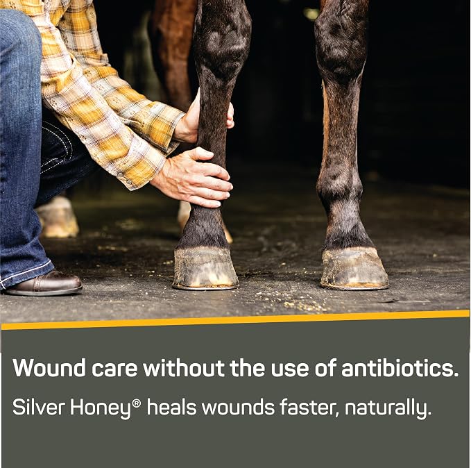 Silver Honey Rapid Wound Repair Spray Gel, 8 fl oz