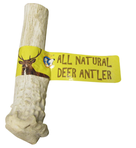 QT Dog Antlerz Large Natural Deer Antler Dog Chew — image 1