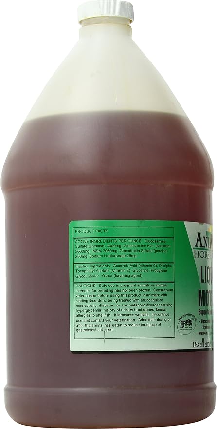 Liquid Motion 1 Gallon – Horse Joint & Mobility Supplement for Healthy Movement & Flexibility