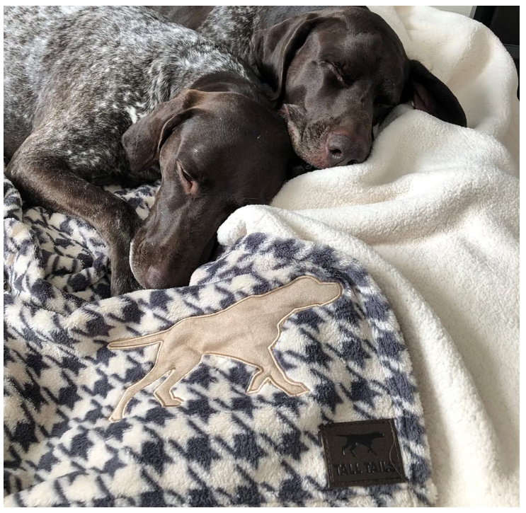 Tall Tails Houndstooth Dog Blanket