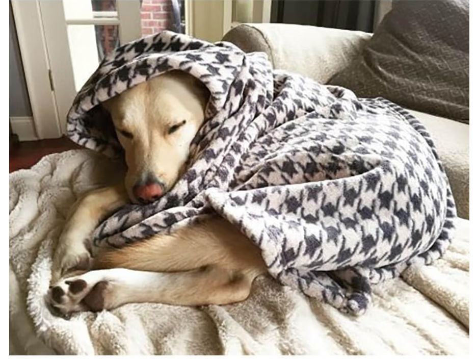 Tall Tails Houndstooth Dog Blanket