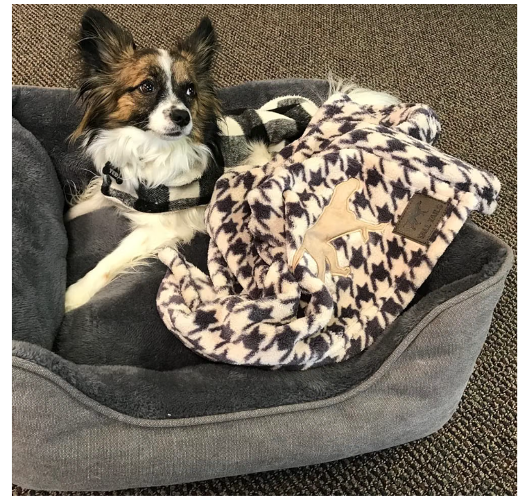 Tall Tails Houndstooth Dog Blanket