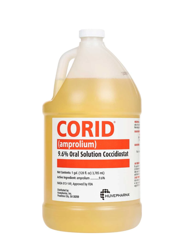 CORID 9.6% Amprolium Oral Solution for Cattle – Coccidiosis Treatment & Prevention – 1 Gallon (128 fl oz)