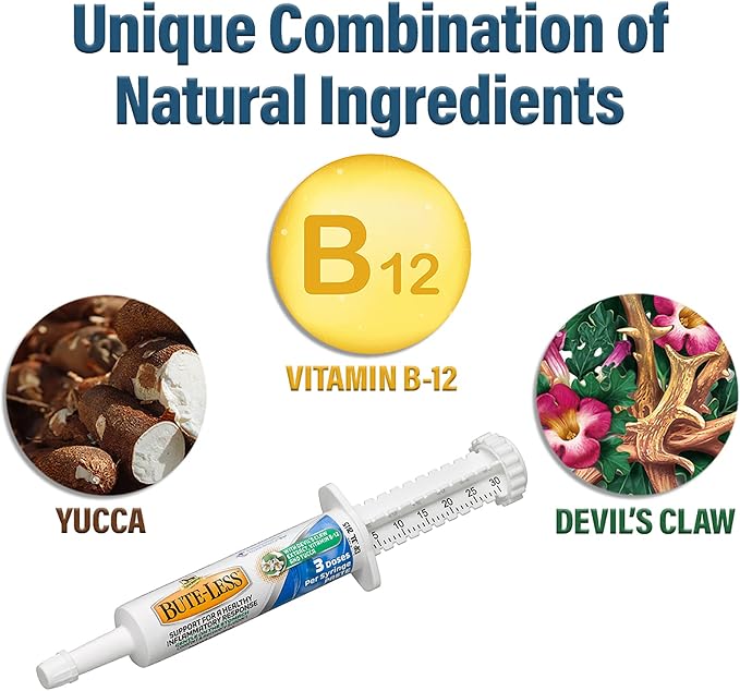 Bute-Less Paste 30gm Syringe