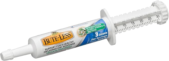 Bute-Less Paste 30gm Syringe