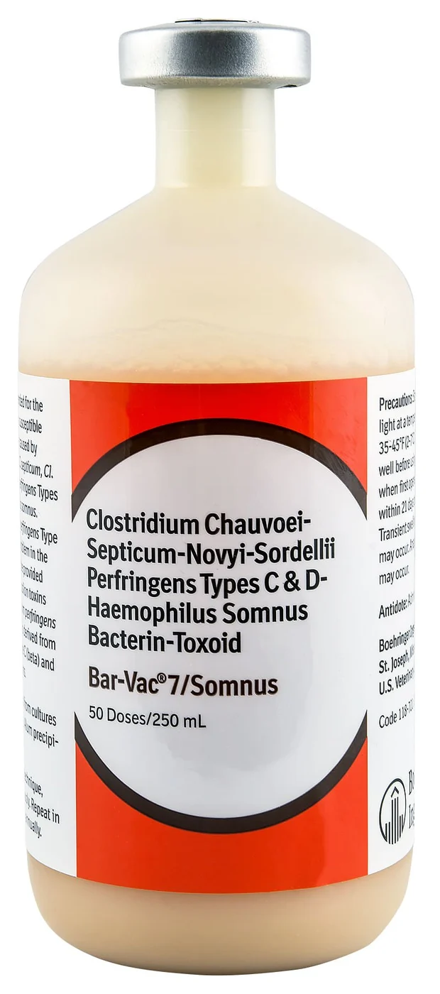 Bar-Vac 7/Somnus Cattle Vaccine(250ML)50ds