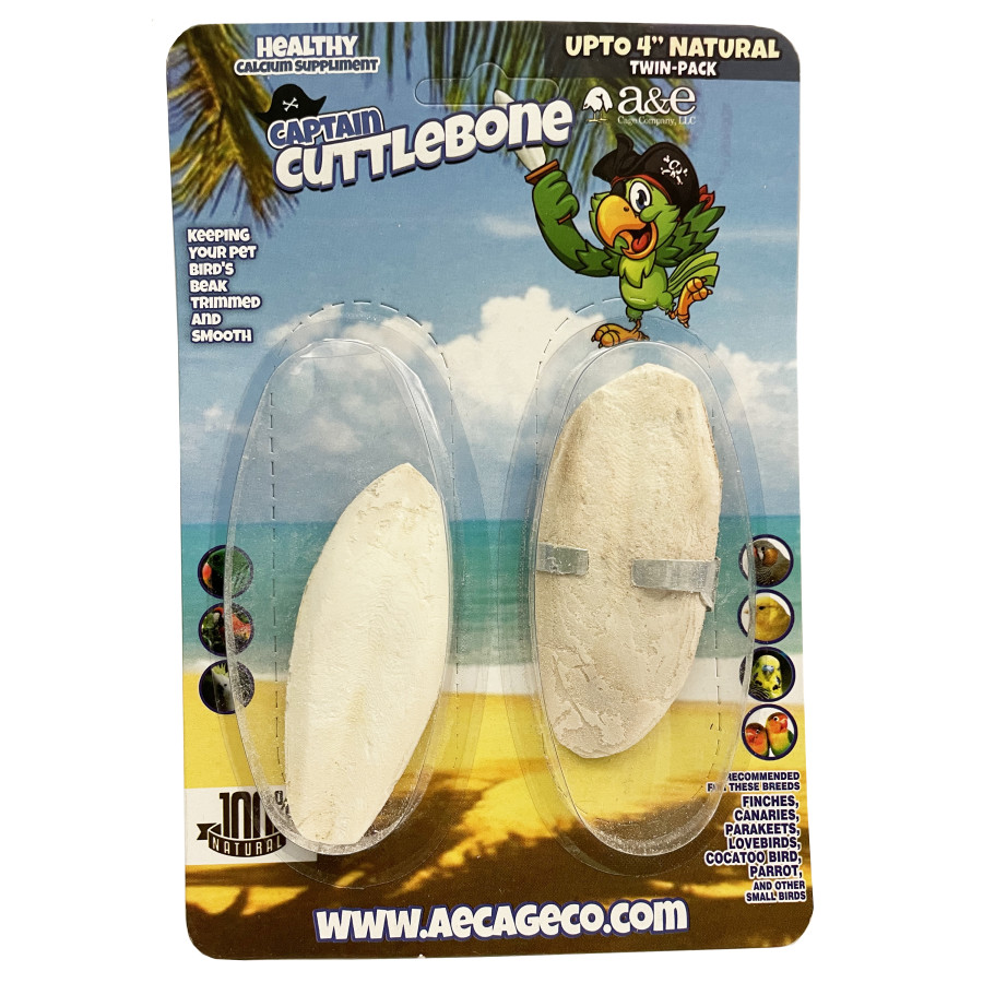 Natural Cuttlebone — 4 in, 2-Pack — image 1