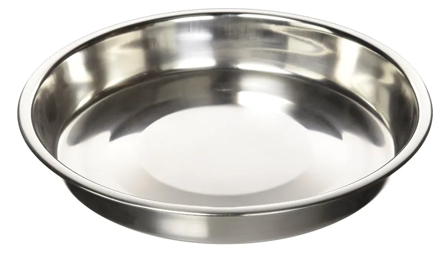 QT Dog Puppy Stainless Steel Pan, 10-Inch Diameter — image 1