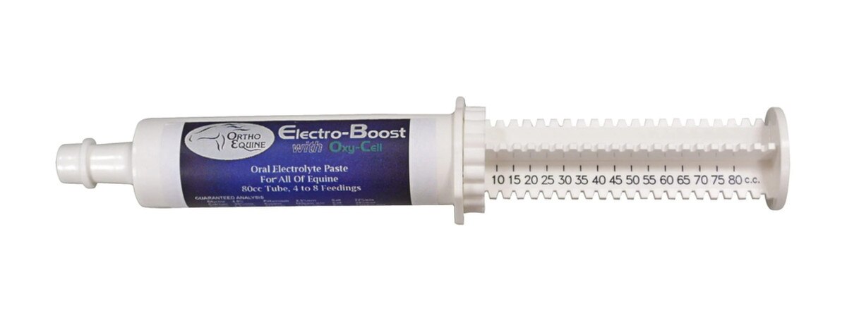 Durvet Ortho Equine Electro-Boost with Oxy-Cell Electrolyte Paste for Horses – 80 cc
