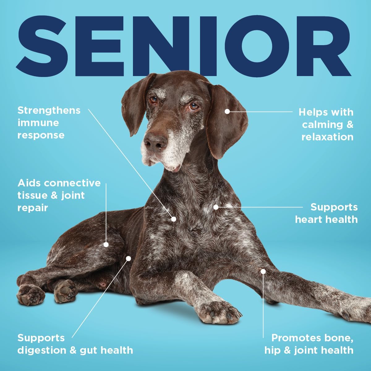 Vetericyn ALL-IN Senior Dog Supplement – 90 Tablets, 9.52 oz