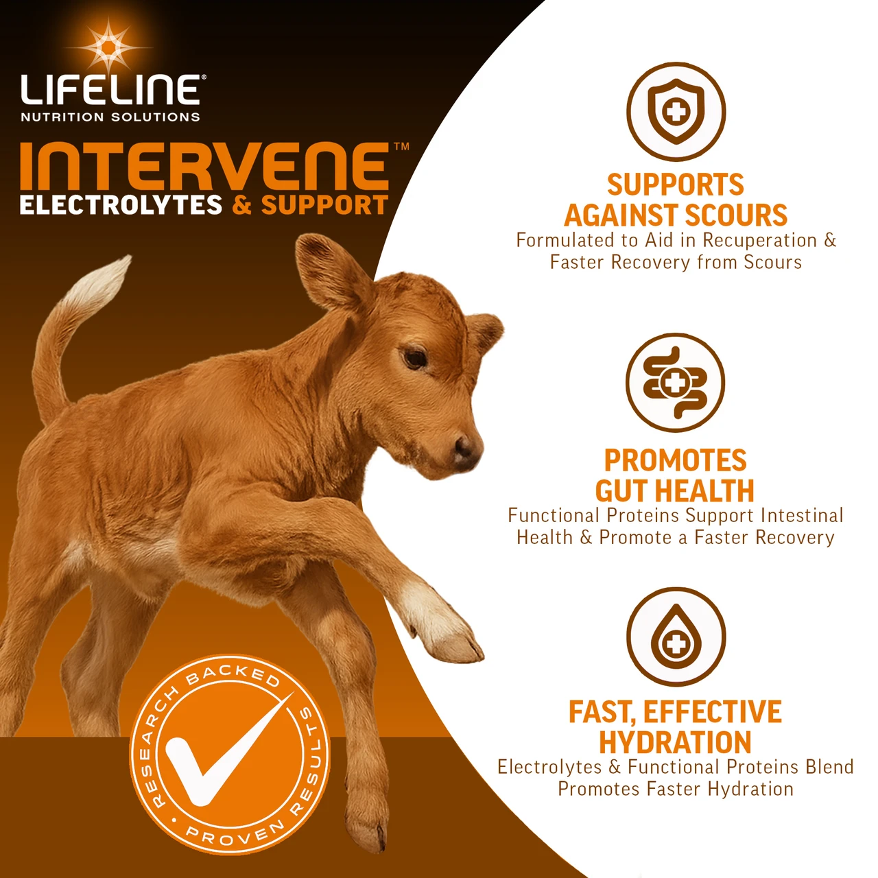 LIFELINE Intervene Calf Electrolyte & Nutritional Supplement – Hydration, Gut & Immune Support, 1 lb