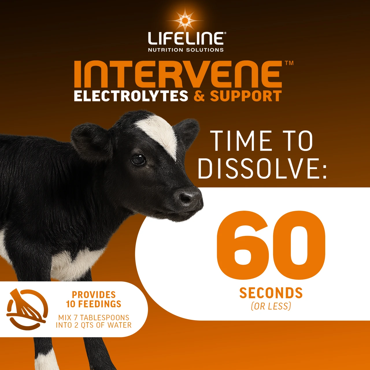 LIFELINE Intervene Calf Electrolyte & Nutritional Supplement – Hydration, Gut & Immune Support, 1 lb