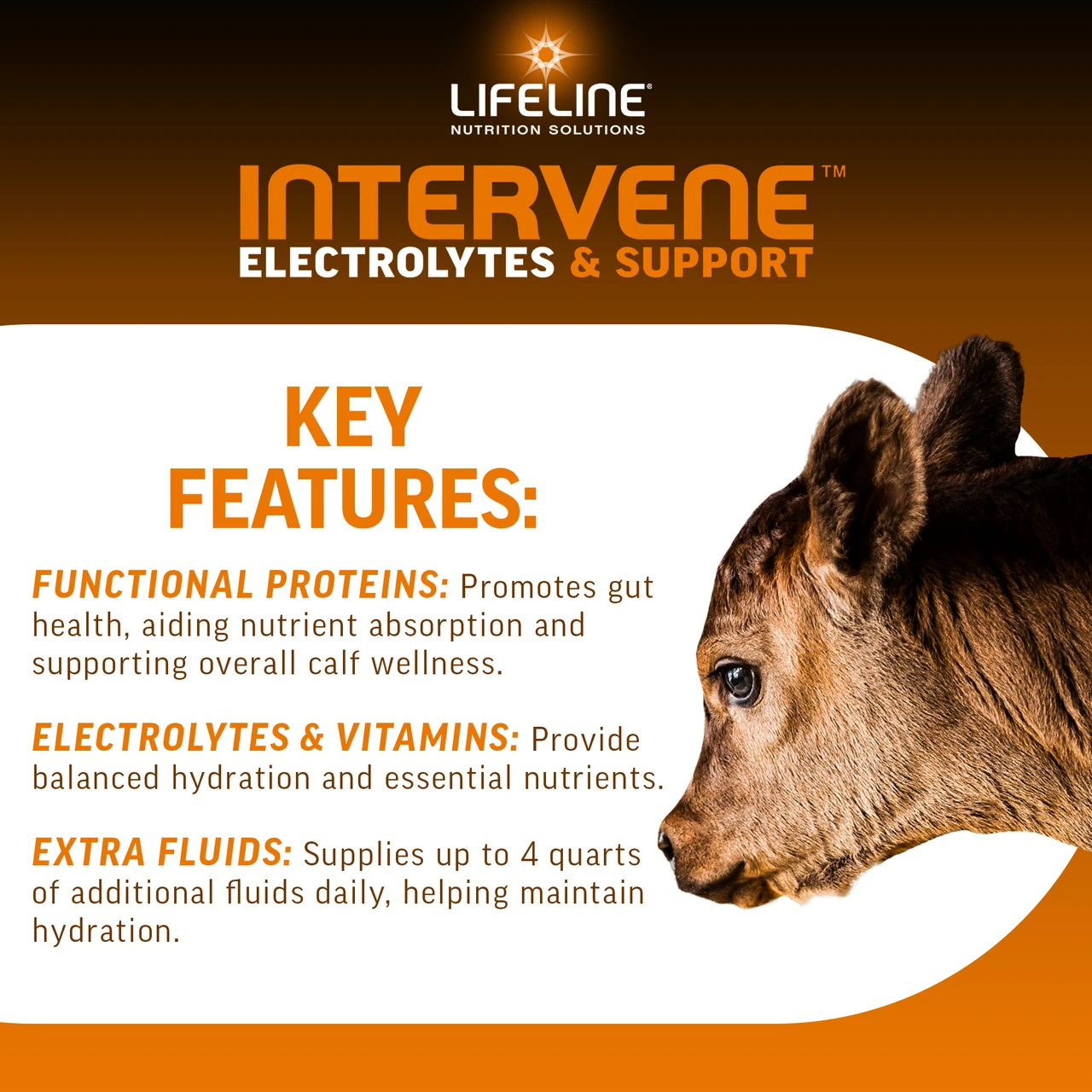 LIFELINE Intervene Calf Electrolyte & Nutritional Supplement – Hydration, Gut & Immune Support, 1 lb