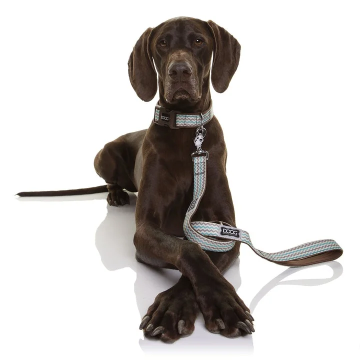 DOOG Neoprene BENJI Dog Leash – Large, Soft, Lightweight & Water-Friendly