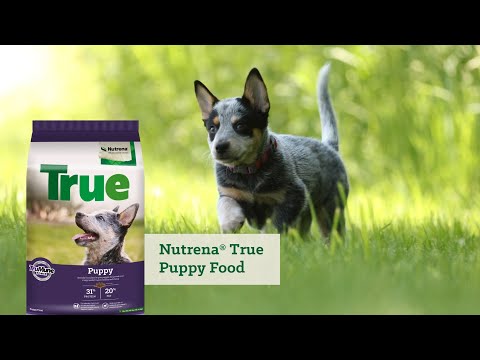 Nutrena True Puppy Dry Dog Food – 40 lb