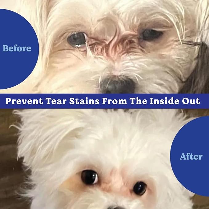 Angels' Eyes Natural Tear Stain Prevention Soft Chews for Dogs, 90 Count