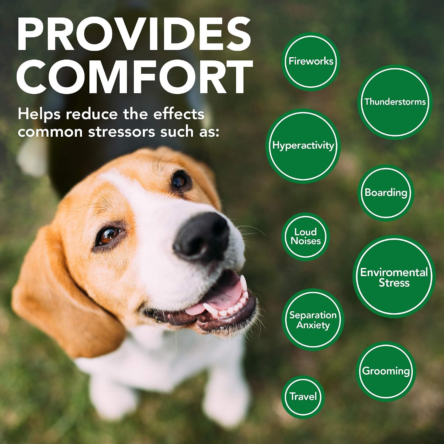 Vet’s Best Comfort Calm Soft Chews for Dogs 30 Count – 4.2 oz Calming Supplement with L-Tryptophan, Valerian & Chamomile