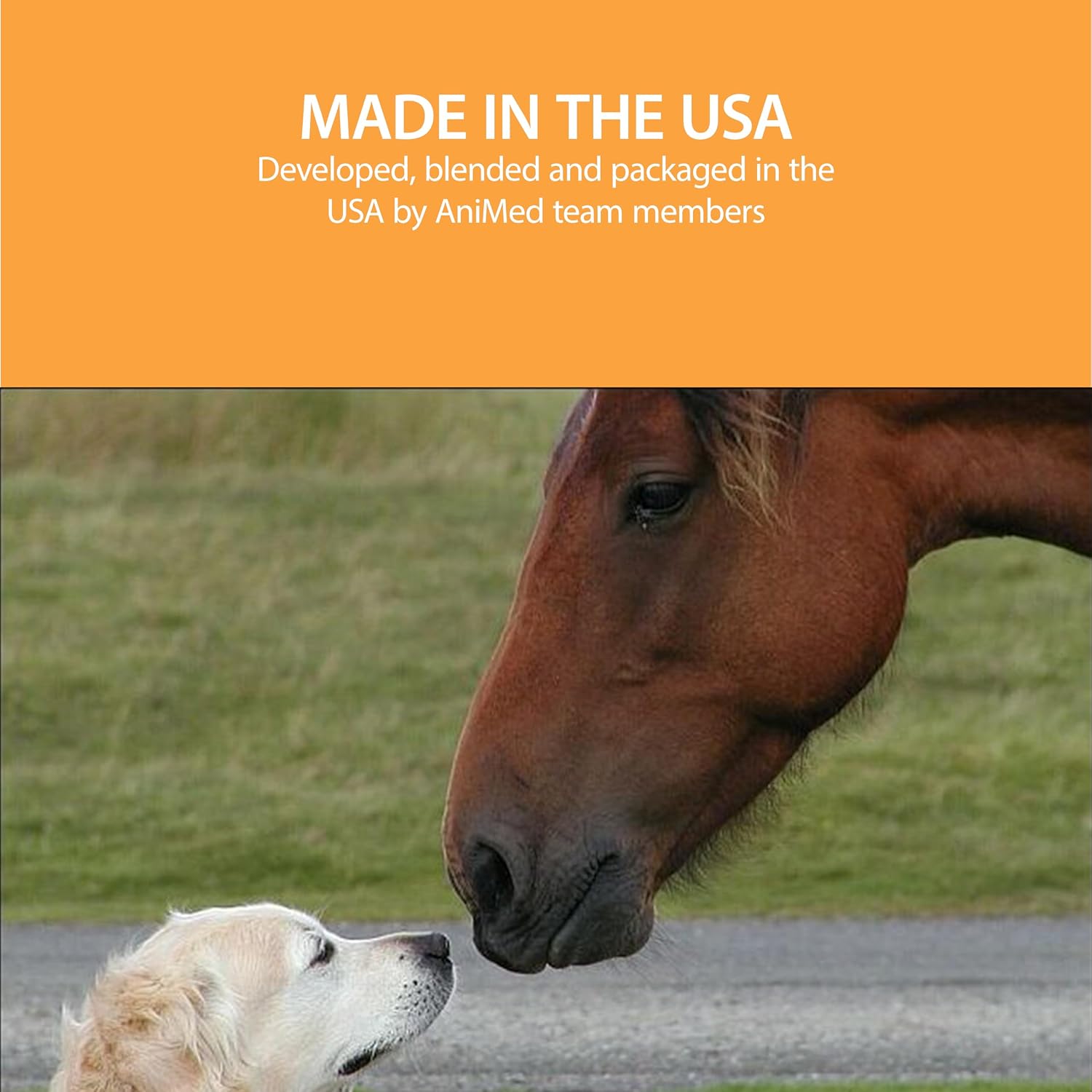 AniMed Remission Hoof Health Horse Supplement – Magnesium, Biotin & Probiotic Support, 4 lb