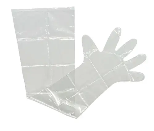 OB Gloves Poly Pro 100/box