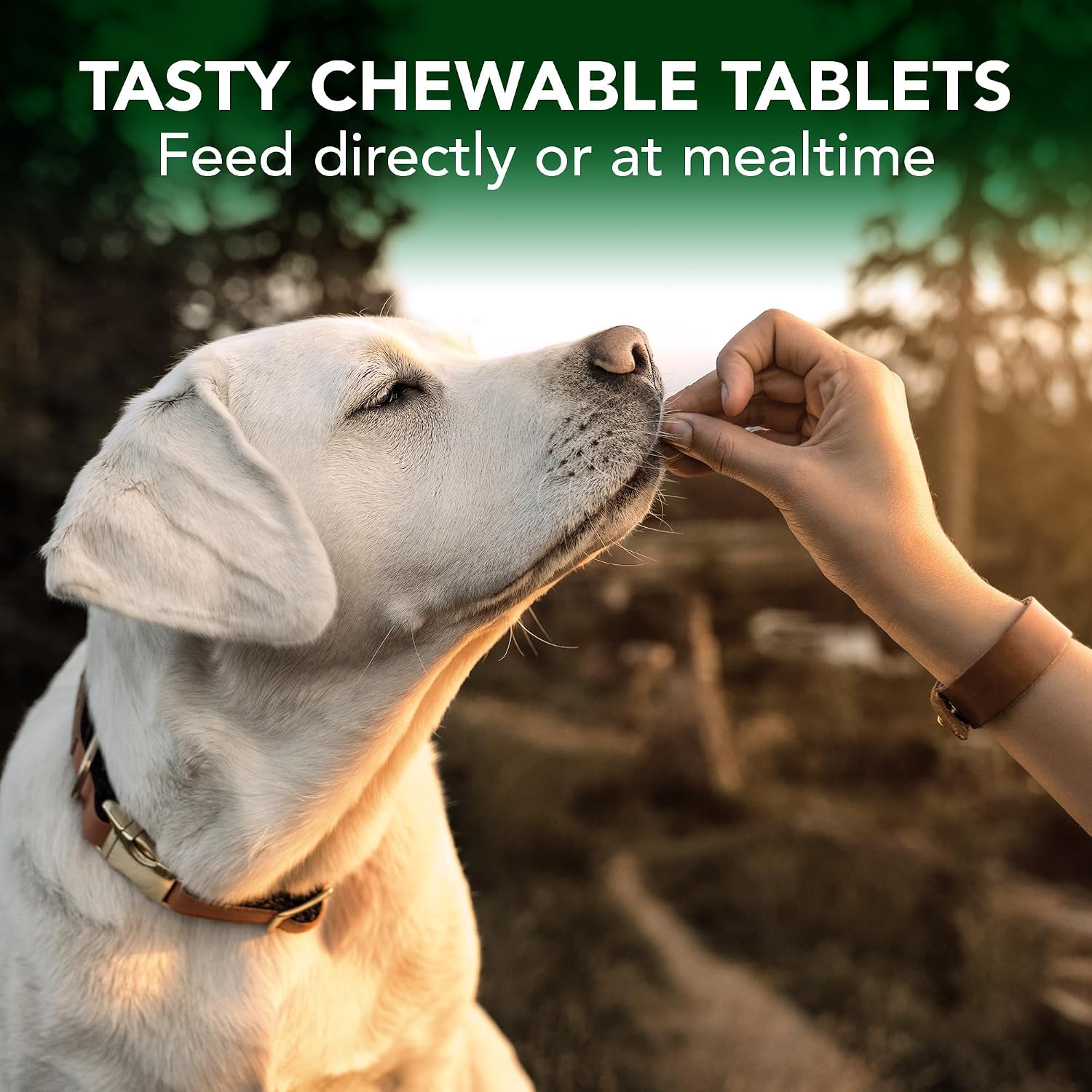Vet's Best Seasonal Allergy Support Supplement for Dogs, 60 Tablets