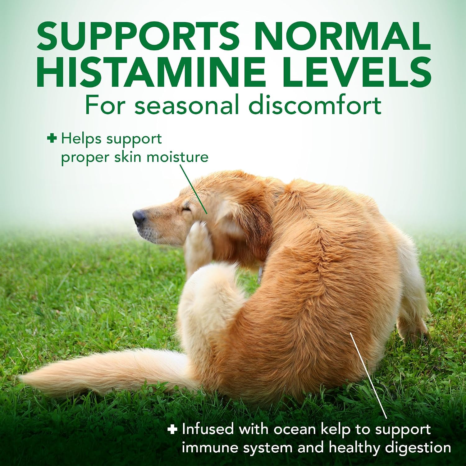 Vet's Best Seasonal Allergy Support Supplement for Dogs, 60 Tablets