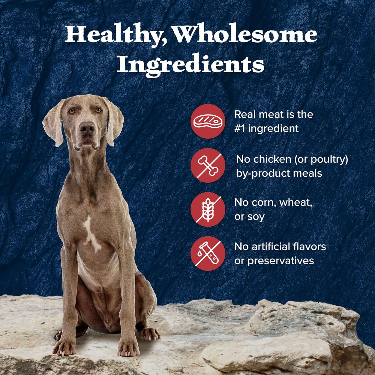 Blue Buffalo Wilderness Rocky Mountain Grain Free Red Meat Senior 12 / 12.5 oz
