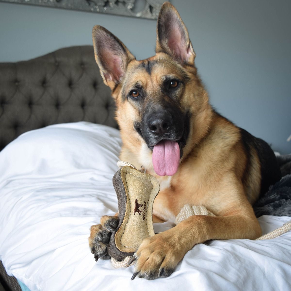 Tall Tails Natural Leather & Wool Bone Tug Dog Toy – 16 Inch