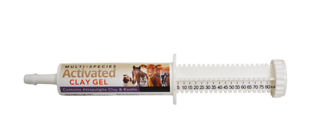 Durvet Activated Clay Gel Digestive Support for Dogs, Cats, Horses & Livestock – 80 mL