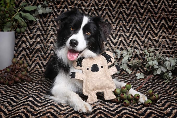 DOOG Kevin Koala Dog Toy – Plush Squeaky Australian Animal Toy for Dogs
