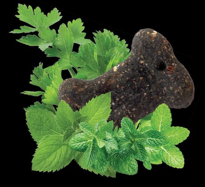 Darford Naturals CharMint Mini Dog Treats – 12 lb Bulk Box, Oven-Baked Mint Breath-Freshening Dog Biscuits