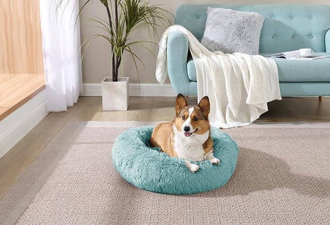 Arlee Pet Products Rover Rest Shaggy Donut Dog Bed – Blush Calming Memory Foam Pet Bed, 26 x 26 in