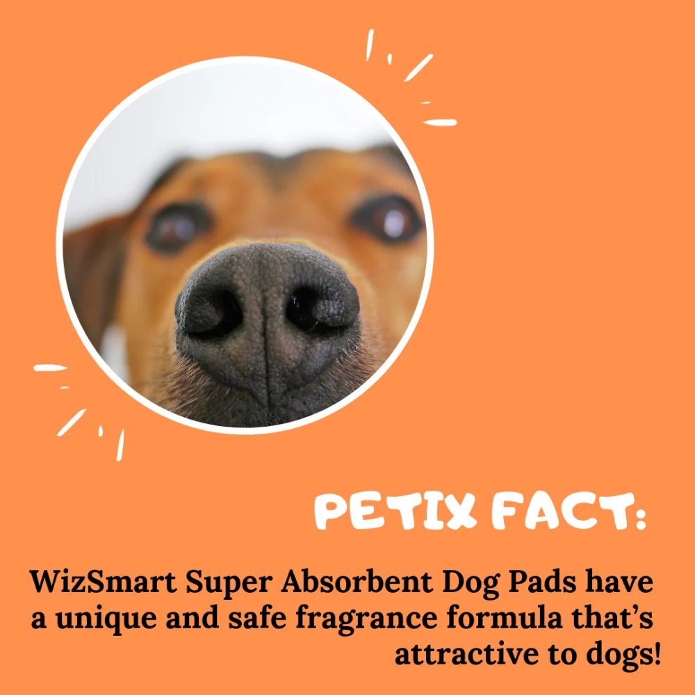 WizSmart Heavyweight Dog Pads for Small Dogs & Puppies – 14 Count